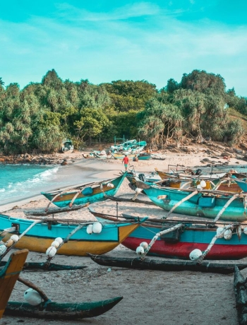 Monthly News Bulletin - June 2025