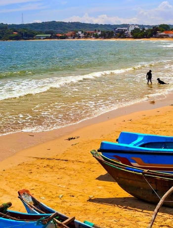 中国飞艇168福彩开奖官方App下载 幸运开奖历史记录查询+168结果号码查阅-Monthly News Bulletin - March 2025 