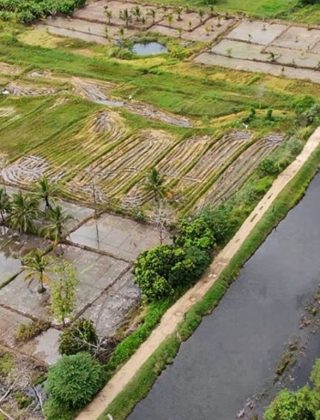 Sustainability Efforts