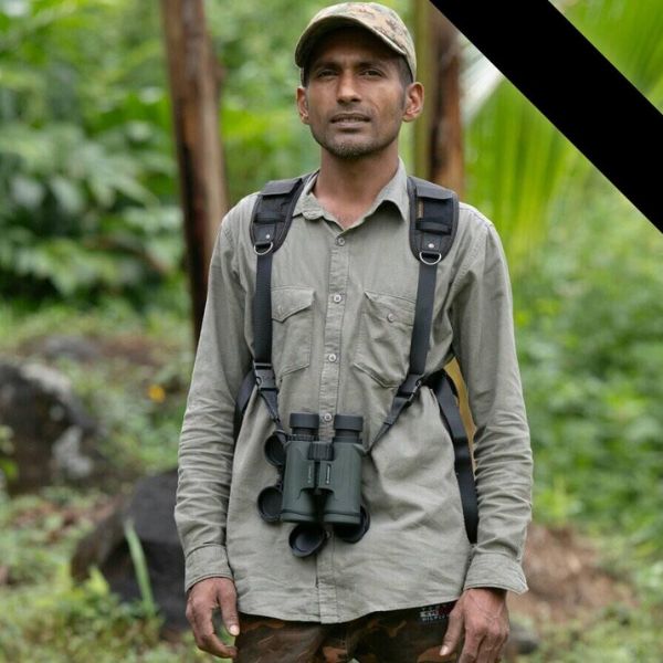 Warna: Your Sinharaja Guide